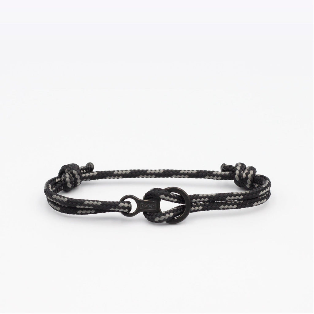 L'Aiguille d'Arves - Descendeur Noir