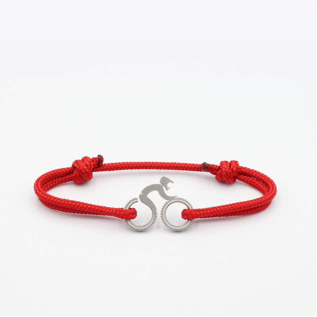 L'Aiguille Rouge - VTT Gris